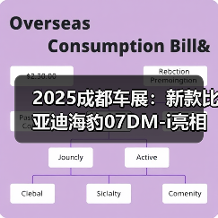 2025成都车展：新款比亚迪海豹07DM-i亮相 新增（图4）