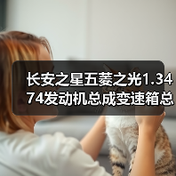 长安之星五菱之光1.3474发动机总成变速箱总成(图3) 长安之星五菱之光1.3474发动机总成变速箱总成(图3)