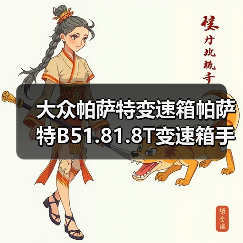 大众帕萨特变速箱帕萨特B51.81.8T变速箱手动挡波箱发动机总成（图2）