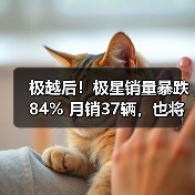 极越后!极星销量暴跌84% 月销37辆,也将退市?(图4) 极越后!极星销量暴跌84% 月销37辆,也将退市?(图4)
