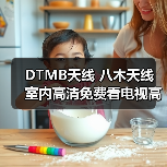 DTMB天线 八木天线 室内高清免费看电视高增益 厂家（图4）