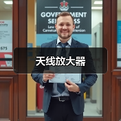 天线放大器（图4）