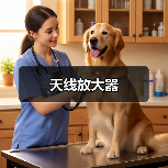 天线放大器（图3）