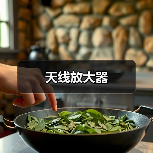 天线放大器（图2）