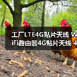 工厂LTE4G贴片天线 WiFi路由器4G贴片天线 4GLTE高增益天线(图2) 工厂LTE4G贴片天线 WiFi路由器4G贴片天线 4GLTE高增益天线(图2)
