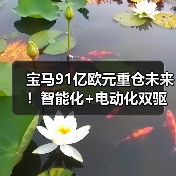 宝马91亿欧元重仓未来！智能化+电动化双驱开启出行新时代（图1）
