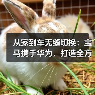 从家到车无缝切换：宝马携手华为，打造全方位智慧出行体验（图1）