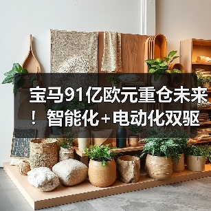 宝马91亿欧元重仓未来！智能化+电动化双驱开启出行新时代（图4）