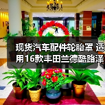 现货汽车配件轮胎罩 适用16款丰田兰德酷路泽塑料后备胎罩改装件（图4）