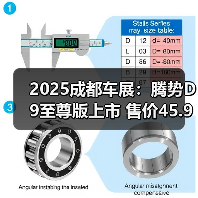 2025成都车展：腾势D9至尊版上市 售价45.98万元（图2）