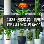 2025成都车展：哈弗大狗PLUS预售 焕新价11.28万（图2）