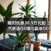 限时优惠30.9万元起 上汽奥迪Q6错位截杀GLC（图3）