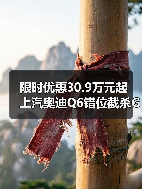 限时优惠30.9万元起 上汽奥迪Q6错位截杀GLC（图2）