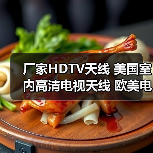 厂家HDTV天线 美国室内高清电视天线 欧美电视天线（图1）