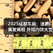 2025成都车展：速腾L首发亮相 外观内饰大变样（图2）