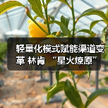 轻量化模式赋能渠道变革 林肯 “星火燎原”计划 厦门启幕（图1）