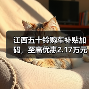 江西五十铃购车补贴加码，至高优惠2.17万元（图3）