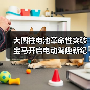 大圆柱电池革命性突破 宝马开启电动驾趣新纪元（图2）