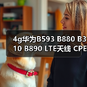 4g华为B593 B880 B310 B890 LTE天线 CPE终端物联NB Lot天线 黑白（图3）