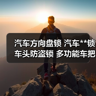 汽车方向盘锁 汽车**锁 车头防盗锁 多功能车把锁 高品质（图1）
