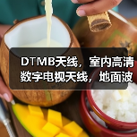 DTMB天线，室内高清数字电视天线，地面波天线 免费看电视（图2）