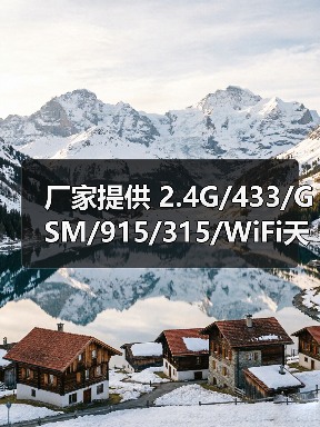 厂家提供 2.4G/433/GSM/915/315/WiFi天线（图2）