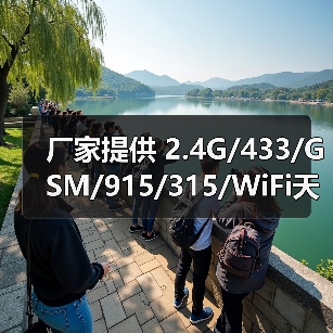 厂家提供 2.4G/433/GSM/915/315/WiFi天线（图3）