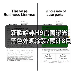 新款哈弗H9官图曝光 黑色外观涂装/预计8月底发（图3）