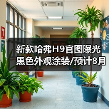 新款哈弗H9官图曝光 黑色外观涂装/预计8月底发（图4）
