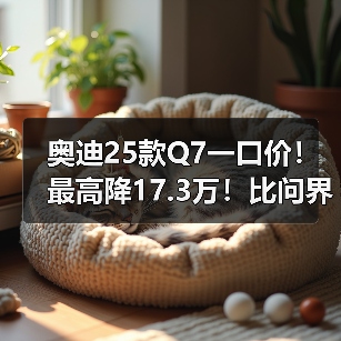 奥迪25款Q7一口价！最高降17.3万！比问界M9还便宜（图1）