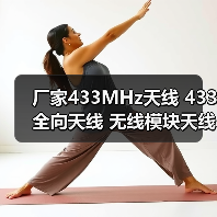 厂家433MHz天线 433全向天线 无线模块天线 安防接收发射天线（图2）