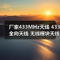 厂家433MHz天线 433全向天线 无线模块天线 安防接收发射天线（图1）