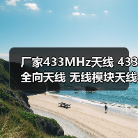 厂家433MHz天线 433全向天线 无线模块天线 安防接收发射天线（图3）