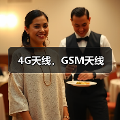 4G天线，GSM天线（图1）