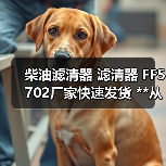 柴油滤清器 滤清器 FF5702厂家快速发货 **从优 来样咨询（图2）