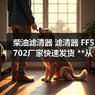 柴油滤清器 滤清器 FF5702厂家快速发货 **从优 来样咨询（图1）
