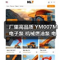 厂里高品质 YM007M电子泵 机械燃油泵 电子燃油泵批发供应（图2）