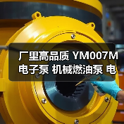 厂里高品质 YM007M电子泵 机械燃油泵 电子燃油泵批发供应（图2）