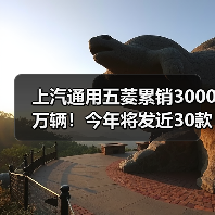 上汽通用五菱累销3000万辆！今年将发近30款新车（图2）