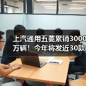 上汽通用五菱累销3000万辆！今年将发近30款新车（图4）