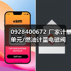 0928400672 厂家计量单元/燃油计量电磁阀（图4）