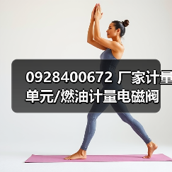 0928400672 厂家计量单元/燃油计量电磁阀（图2）