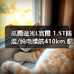 岚图追光L官图 1.5T插混/纯电续航410km 配华为（图3）