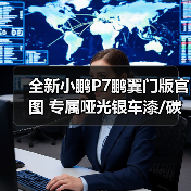 全新小鹏P7鹏翼门版官图 专属哑光银车漆/碳纤维（图3）