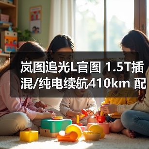岚图追光L官图 1.5T插混/纯电续航410km 配华为（图4）