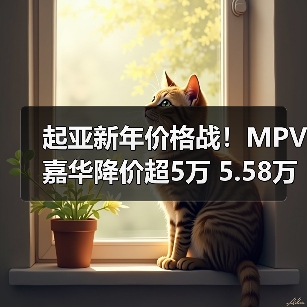 起亚新年价格战！MPV嘉华降价超5万 5.58万起售（图3）