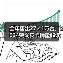 全年售出27.41万台，2024狭义皮卡销量解读，新能源车型受关注（图3）