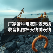 厂家各种电波钟表天线 收音机磁棒天线钟表线圈玩具电波天线（图1）