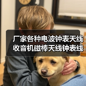 厂家各种电波钟表天线 收音机磁棒天线钟表线圈玩具电波天线（图2）