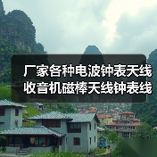 厂家各种电波钟表天线 收音机磁棒天线钟表线圈玩具电波天线（图4）